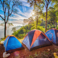 Снаряжение для пикника и кемпинга: выбираем палатку