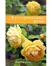 Кустарниковые розы / Бумбеева Л.И.