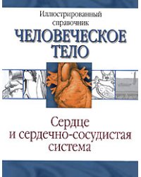 Сердце и сердечно-сосудистая система / Борисова И.