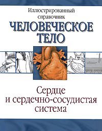 Сердце и сердечно-сосудистая система / Борисова И.