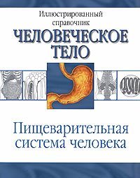 Пищеварительная система человека / Древаль И.К.