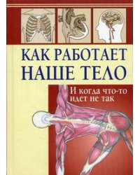 Как работает наше тело. И когда что-то идет не так