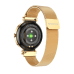 Borofone Smartwatch BGA12 gold