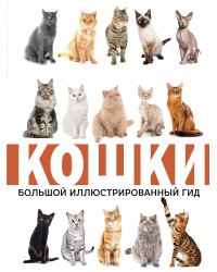 Кошки