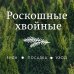 Роскошные хвойные. Виды, посадка, уход