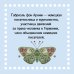 Утешение красотой. Как найти и сберечь прекрасное в своей жизни