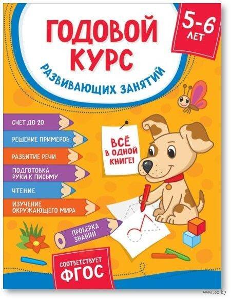 Годовой курс развивающих занятий для детей 5 – 6 лет