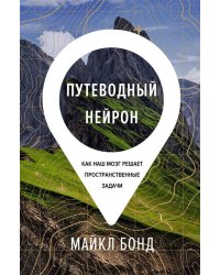 Путеводный нейрон. Как наш мозг решает пространственные задачи