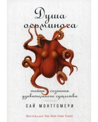 Душа осьминога: Тайны сознания удивительного существа (обложка) 