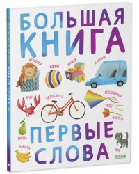 Первые книжки малыша. Большая книга. Первые слова