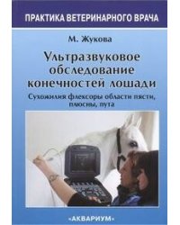 Ультразвуковое Обследование конечностей лошади