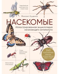 Насекомые. Иллюстрированная энциклопедия начинающего энтомолога. 240 популярных видов, которые обитают рядом с нами