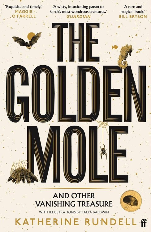 Golden mole (Katherine Rundell) Золотой крот (Кэтрин Ранделл) /Книги на английском языке