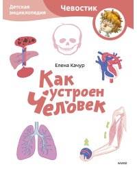 Как устроен человек. Детская энциклопедия (Чевостик) (Paperback)