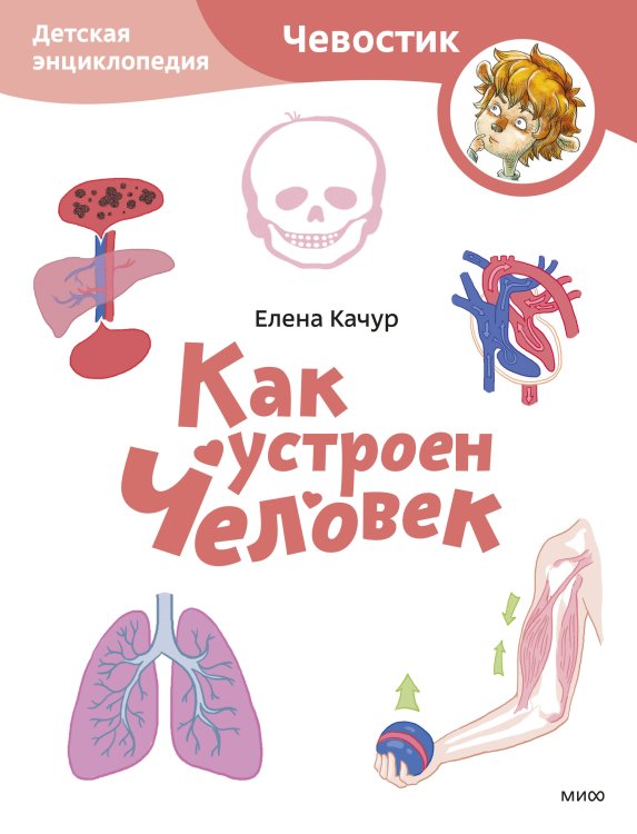 Как устроен человек. Детская энциклопедия (Чевостик) (Paperback)