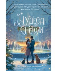 Чудеса под снегом. Рассказы о любви и волшебстве в большом городе