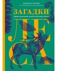 Загадки леса. Удивительная жизнь зеленой экосистемы планеты