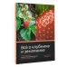 Всё о клубнике и землянике. Семена и саженцы. Лучшие сорта для выращивания. Календарь основных работ