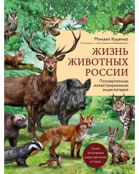 Жизнь животных России. Познавательная иллюстрированная энциклопедия