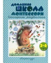 КнижкиНесказки Домашняя школа Монтессори Сенсорное развитие 2-4 года (Генденштейн Л.Э.,Сумнительный К.Е.)