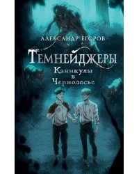 Темнейджеры. Каникулы в Чернолесье