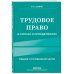 Трудовое право в схемах и определениях. 2-е издание. Исправленное и дополненное