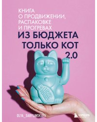 Из бюджета только кот 2.0