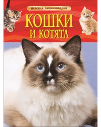 Кошки и котята. Детская энциклопедия