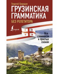 Грузинская грамматика без репетитора. Все сложности в простых схемах