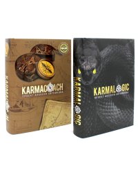 KARMALOGIC + KARMACOACH - Проект Ситникова