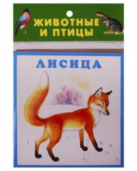 ЖИВОТНЫЕ И ПТИЦЫ