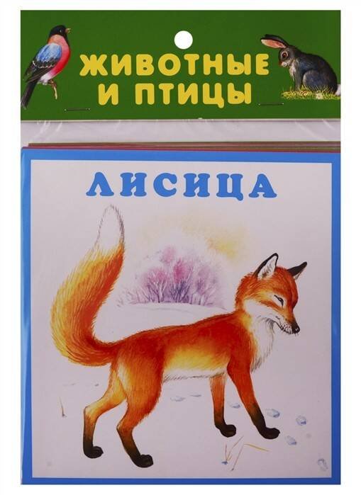 ЖИВОТНЫЕ И ПТИЦЫ