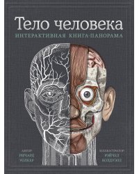 Тело человека. Интерактивная книга-панорама