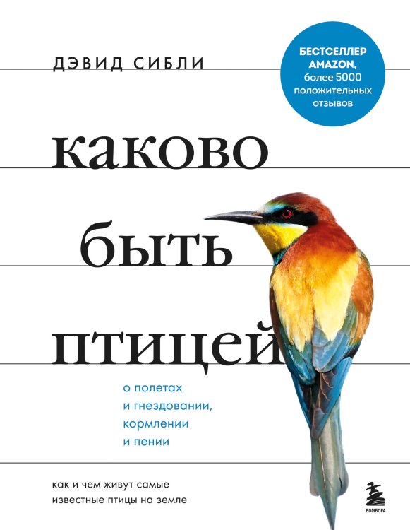 Каково быть птицей. О полетах и гнездовании, кормлении и пении. Как и чем живут самые известные птиц