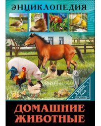 ЭНЦИКЛОПЕДИЯ. В МИРЕ ЗНАНИЙ. ДОМАШНИЕ ЖИВОТНЫЕ