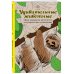 Удивительные животные. Мини-раскраска-антистресс для творчества и вдохновения (ленивец)