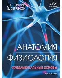 Анатомия. Физиология. Фундаментальные основы. 15-е издание