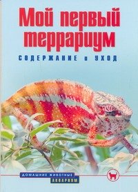 Мой первый террариум