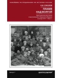 Пламя над Волгой. Крестьянские восстания и выступления в Тверской губернии в конец 1917-1922 гг.