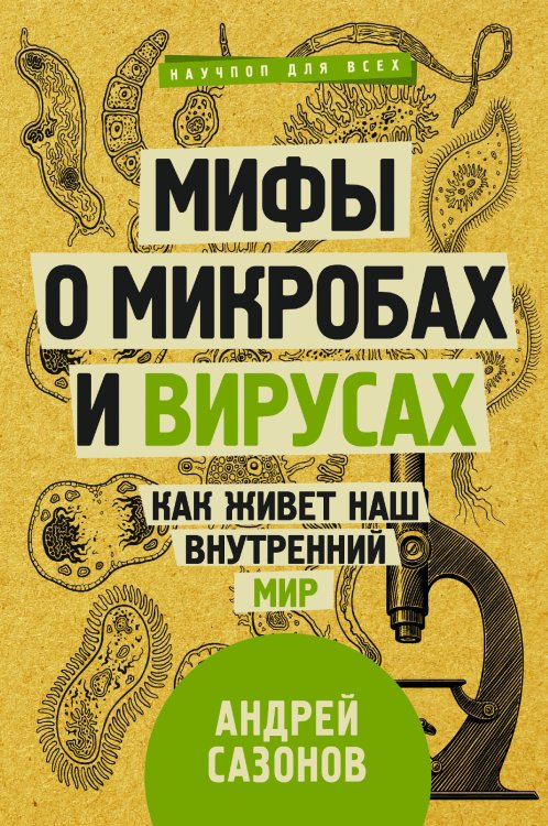 Мифы о микробах и вирусах: как живет наш внутренний мир