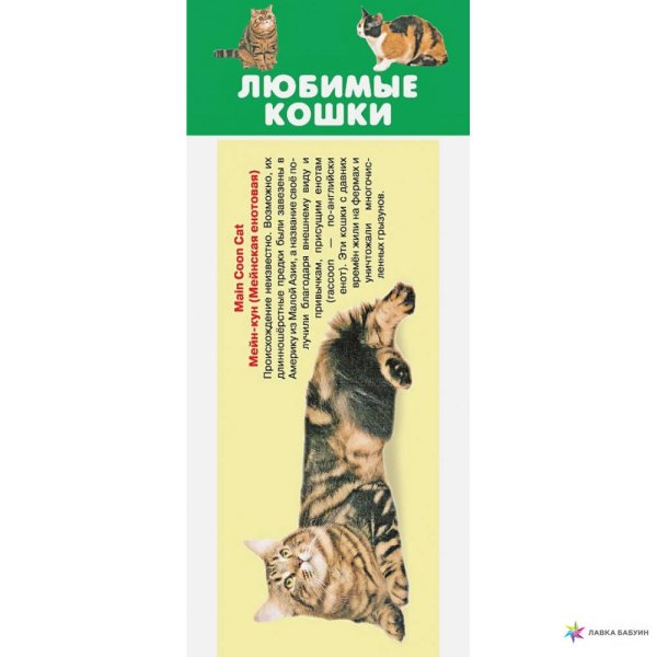 ЛЮБИМЫЕ КОШКИ.