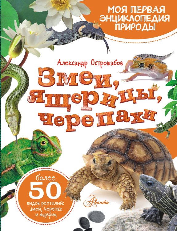 Змеи, ящерицы, черепахи