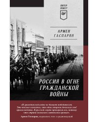 Россия в огне Гражданской войны. Питер покет