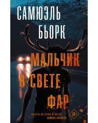 Мальчик в свете фар