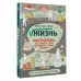 Жизнь. Математика как способ стать счастливее и жить дольше