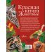 Красная книга. Животные