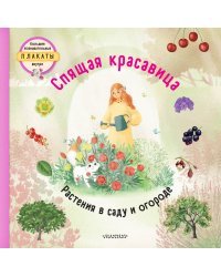 Спящая красавица