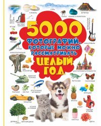 5000 фотографий, которые можно рассматривать целый год