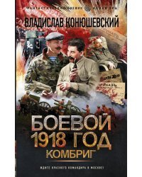 Боевой 1918 год. Комбриг