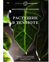 Растущие в темноте. Комнатные растения для укромных уголков вашего дома